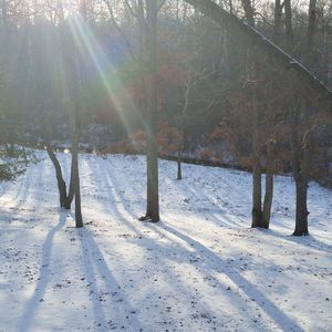 Meet your Posher, Janet